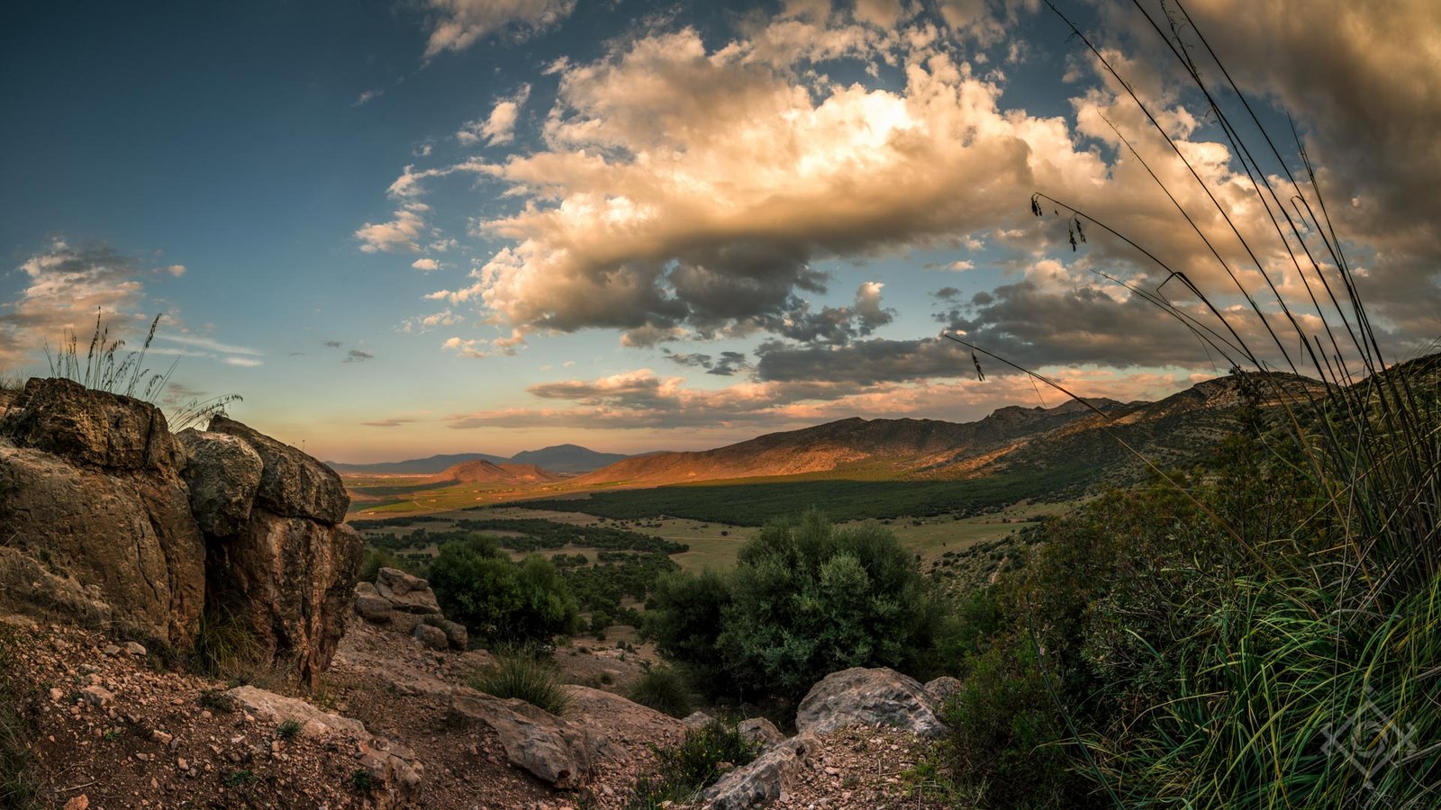 Ayoub Ziad 006 Couverture Panorama